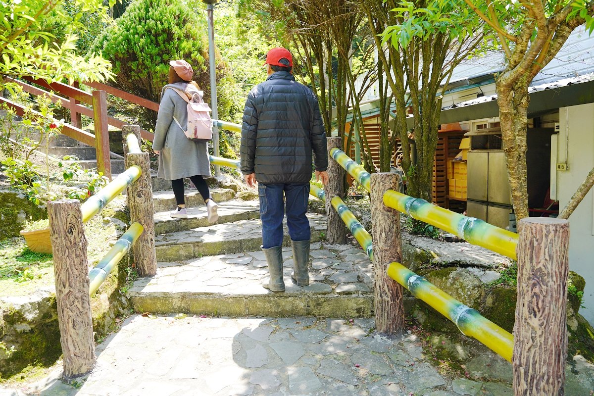 【拉拉山民宿推薦】親子住宿採果體驗好選擇 桃園復興小木屋包棟住宿首選 溪景生態農莊