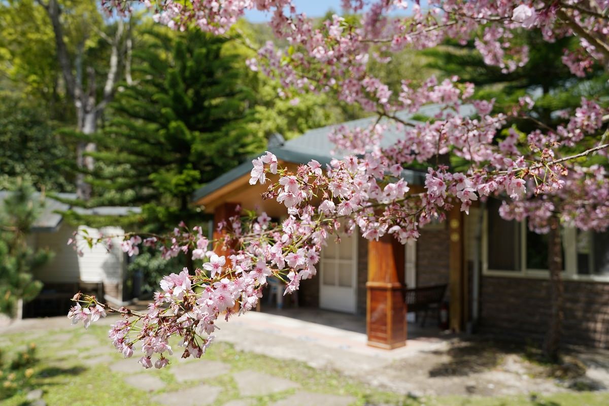 【拉拉山民宿推薦】親子住宿採果體驗好選擇 桃園復興小木屋包棟住宿首選 溪景生態農莊