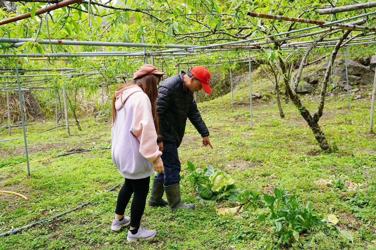 【拉拉山民宿推薦】親子住宿採果體驗好選擇 桃園復興小木屋包棟住宿首選 溪景生態農莊