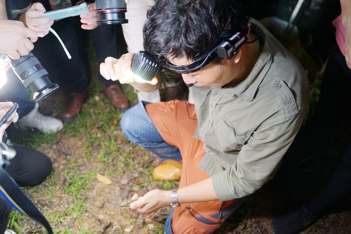 【南投埔里民宿推薦】山系桃米親水公園內 夜觀蛙類生態自然體驗 水泥角生態民宿 Tnn B&B