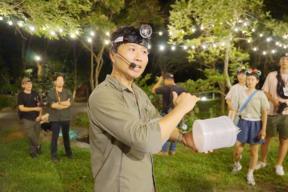 【南投埔里民宿推薦】山系桃米親水公園內 夜觀蛙類生態自然體驗 水泥角生態民宿 Tnn B&B