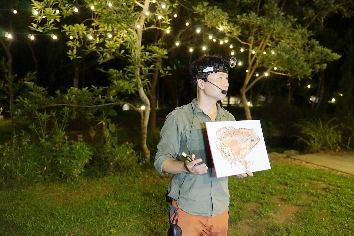 【南投埔里民宿推薦】山系桃米親水公園內 夜觀蛙類生態自然體驗 水泥角生態民宿 Tnn B&B