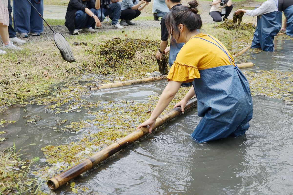 【南投一日遊行程景點推薦】南投仁愛南豐社區東岸部落一日里山生活體驗 賽德克文化生態園區生態導覽 - 第17張圖 【南投一日遊行程景點推薦】南投仁愛南豐社區東岸部落一日里山生活體驗 賽德克文化生態園區生態導覽
