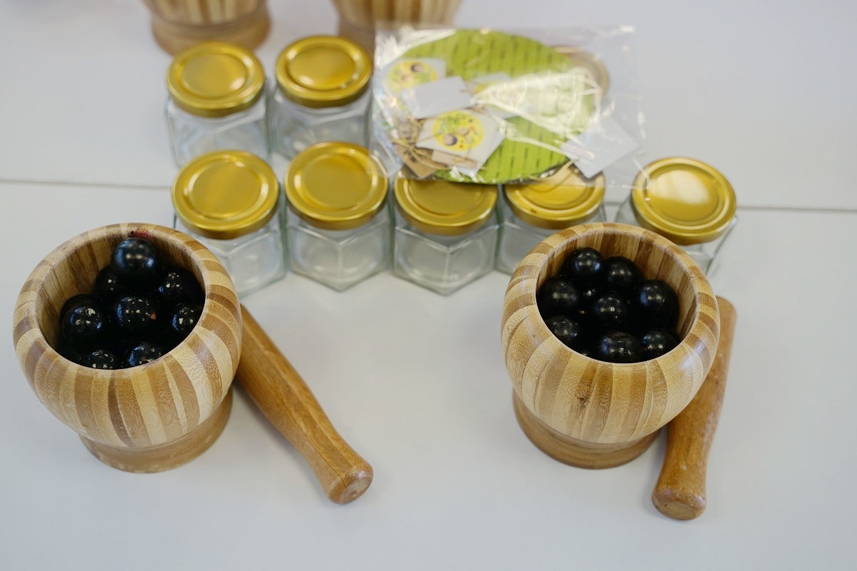 【南投埔里景點推薦】亞洲第一大網室有機樹葡萄農場 果醬DIY+草頭娃娃DIY 果寶歡酵觀光工廠