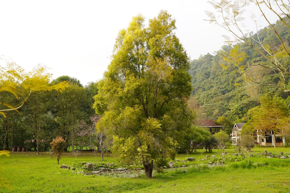 【九族文化村住宿推薦】日月潭唯一花園山谷渡假村 皮脆肉嫩紙箱烤雞 日月潭御朝渡假村 - 第19張圖 【九族文化村住宿推薦】日月潭唯一花園山谷渡假村 皮脆肉嫩紙箱烤雞 日月潭御朝渡假村