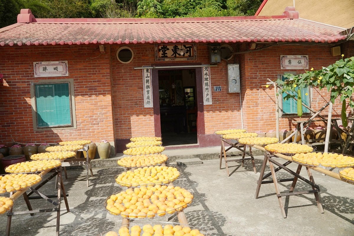 【味衛佳柿餅教育農園】新埔旱坑社區金牌農村銀牌獎殊榮 曬柿餅網美景點/柿染手作DIY體驗
