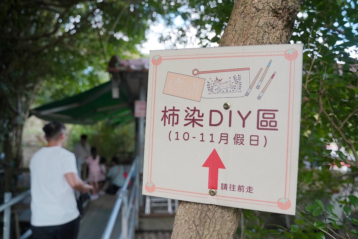 【味衛佳柿餅教育農園】新埔旱坑社區金牌農村銀牌獎殊榮 曬柿餅網美景點/柿染手作DIY體驗