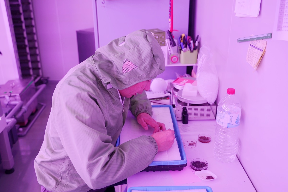 【桃園生菜沙拉推薦】全桃園最新鮮自家水耕農場 蔬菜之王羽衣甘藍綠拿鐵 純翠 Pure Veggies - 第18張圖 【桃園生菜沙拉推薦】全桃園最新鮮自家水耕農場 蔬菜之王羽衣甘藍綠拿鐵 純翠 Pure Veggies