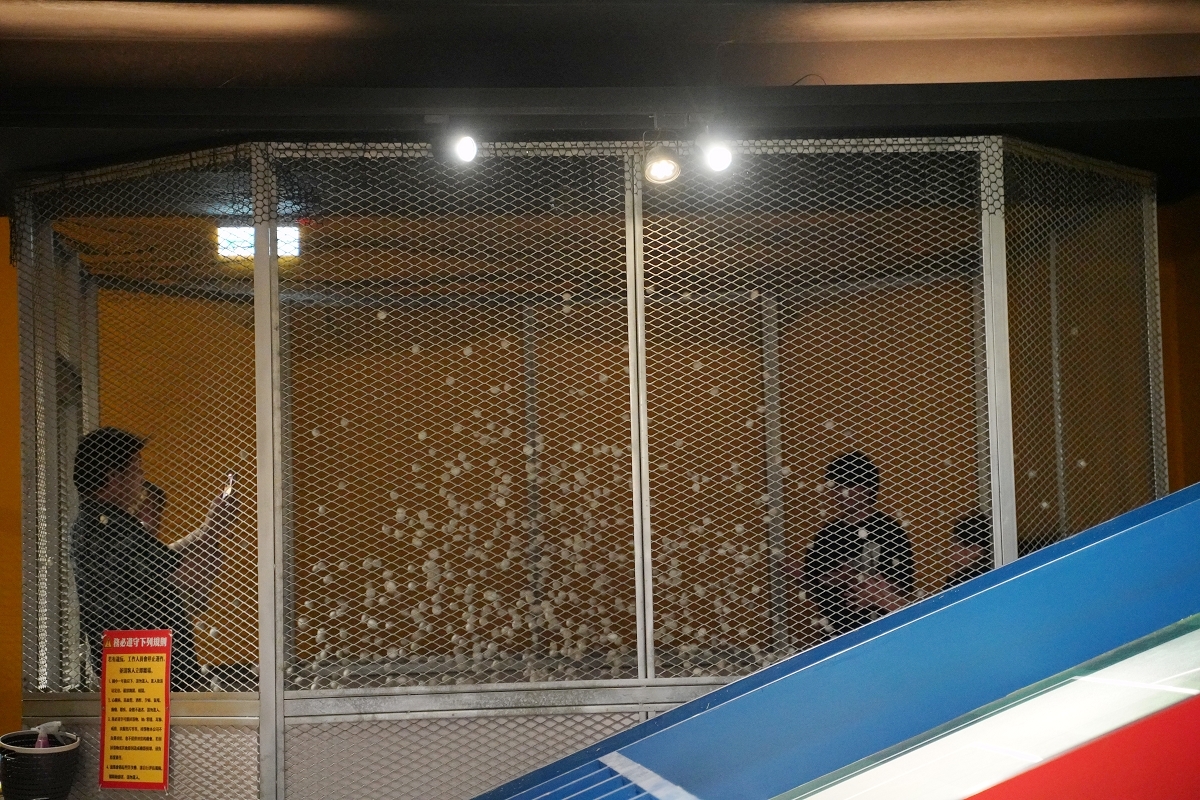 【宜蘭蘇澳室內景點推薦】免曬太陽12種互動球類運動一票玩到底 宜蘭親子景點好選擇 歪歪球 Wild Wild Ball