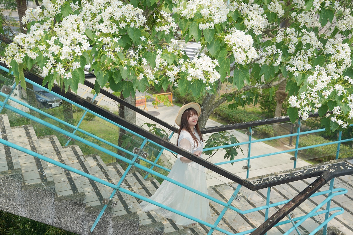 【桃園市客家文化館】桃園龍潭免費景點推薦 客家音樂館認識客家文化 桃園桐花季賞桐花必訪景點