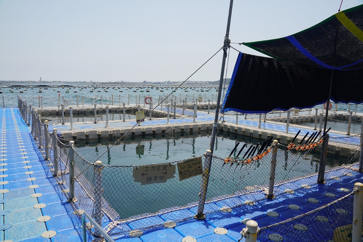 【澎湖牡蠣吃到飽推薦】澎湖最大海上休閒活動平台 炭烤牡蠣海產粥吃到飽 海上皇宮海洋牧場 - 第16張圖 【澎湖牡蠣吃到飽推薦】澎湖最大海上休閒活動平台 炭烤牡蠣海產粥吃到飽 海上皇宮海洋牧場