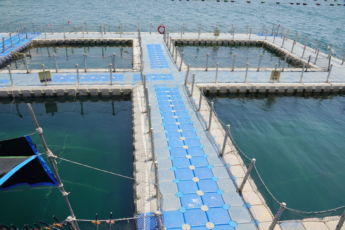 【澎湖牡蠣吃到飽推薦】澎湖最大海上休閒活動平台 炭烤牡蠣海產粥吃到飽 海上皇宮海洋牧場 - 第17張圖 【澎湖牡蠣吃到飽推薦】澎湖最大海上休閒活動平台 炭烤牡蠣海產粥吃到飽 海上皇宮海洋牧場