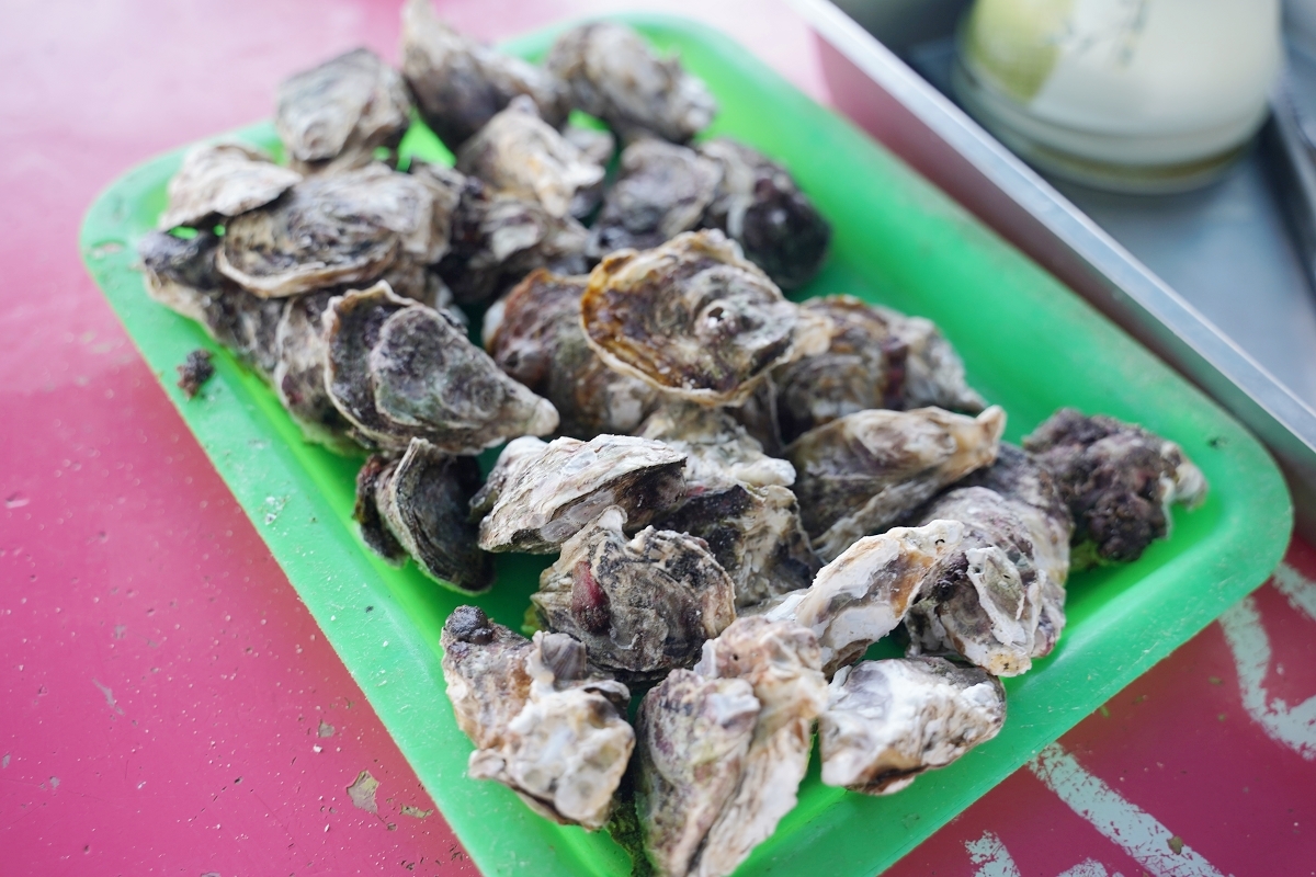 【澎湖牡蠣吃到飽推薦】澎湖最大海上休閒活動平台 炭烤牡蠣海產粥吃到飽 海上皇宮海洋牧場 - 第24張圖 【澎湖牡蠣吃到飽推薦】澎湖最大海上休閒活動平台 炭烤牡蠣海產粥吃到飽 海上皇宮海洋牧場