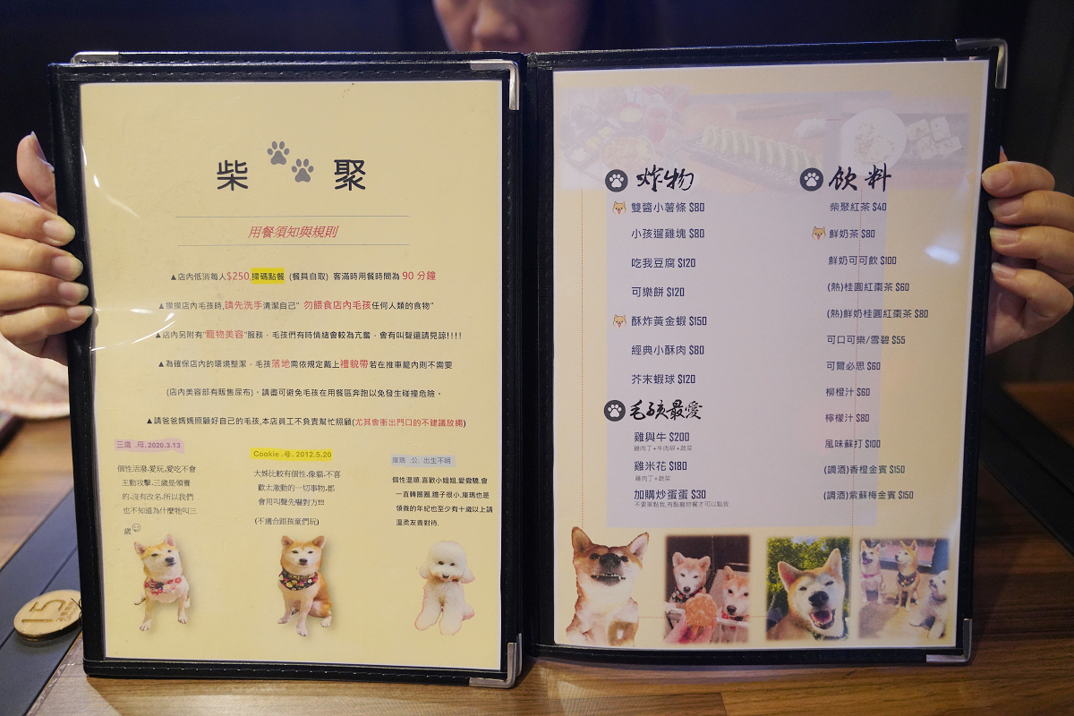 【柴聚小吃】中壢中原寵物友善餐廳推薦 可愛柴犬店長顧店 美味必點定食/咖哩飯 近莒光環保公園