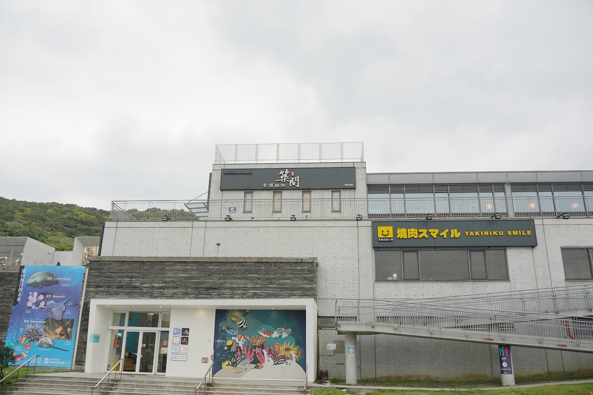 【基隆親子景點推薦】潮境海灣5G沉浸式體驗 潮中舞者水母幻境必訪 潮境智能海洋館