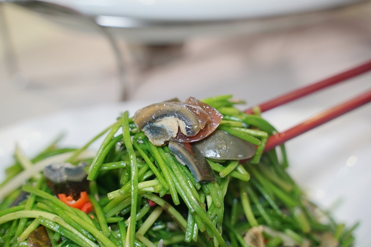 【桃園大溪聚餐餐廳推薦】石門水庫活魚餐廳好選擇 超高CP值桌菜料理 山霸王活魚土雞餐廳