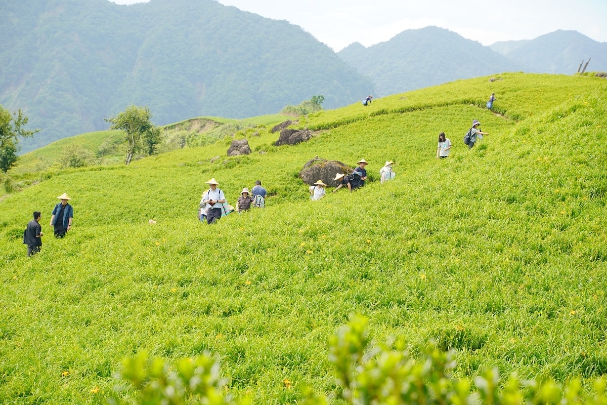 【富里六十石山採金針體驗】忘憂亭賞高空美景 適合全家大小一起採金針 964驛棧