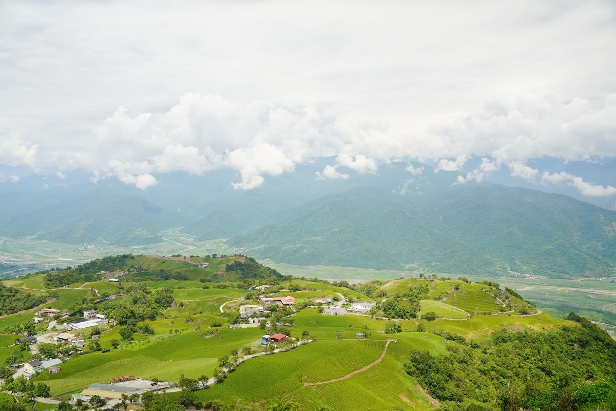 【富里六十石山採金針體驗】忘憂亭賞高空美景 適合全家大小一起採金針 964驛棧