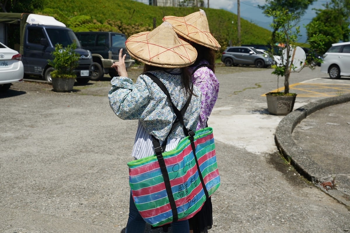 【富里六十石山採金針體驗】忘憂亭賞高空美景 適合全家大小一起採金針 964驛棧