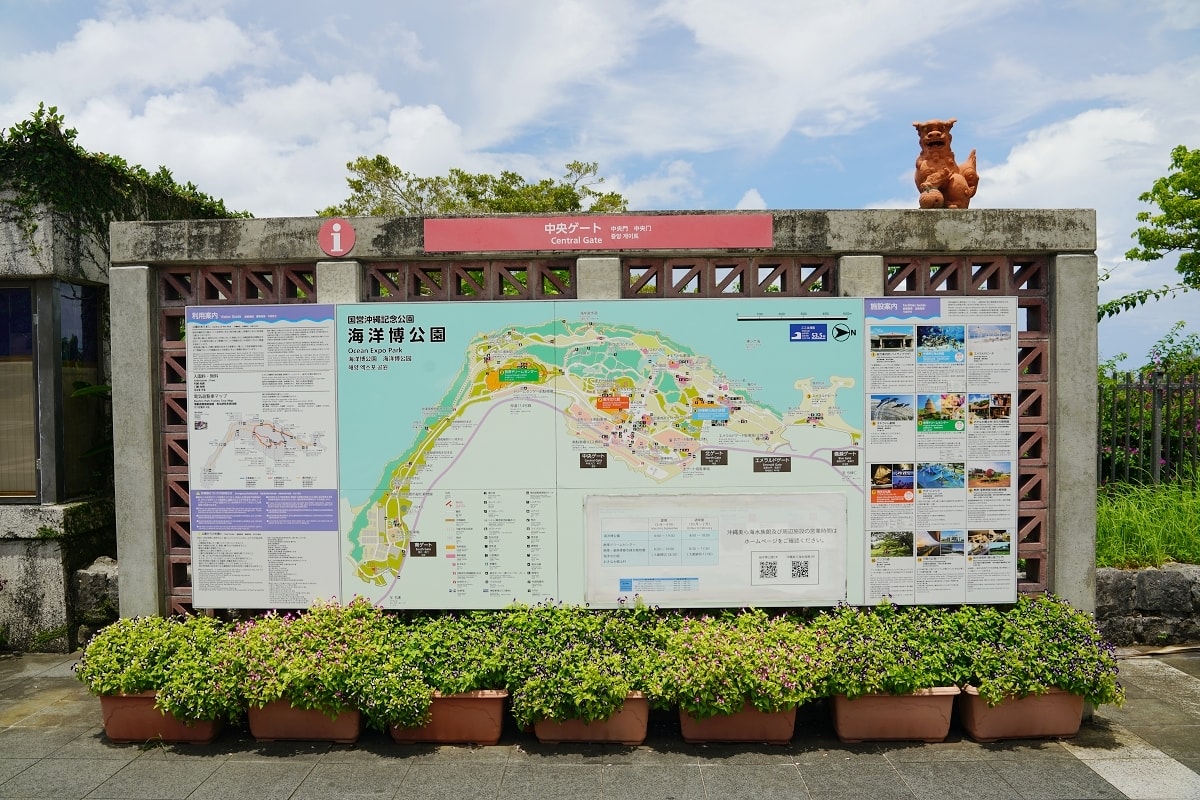 【沖繩免費景點推薦】大型海洋主題公園 免費海豚劇場海豚表演 國營沖繩紀念公園•海洋博公園 - 第3張圖 【沖繩免費景點推薦】大型海洋主題公園 免費海豚劇場海豚表演 國營沖繩紀念公園•海洋博公園