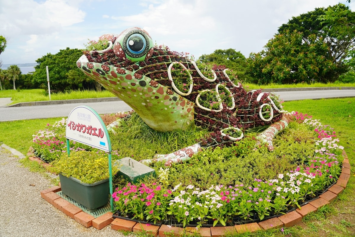 【沖繩免費景點推薦】大型海洋主題公園 免費海豚劇場海豚表演 國營沖繩紀念公園•海洋博公園 - 第8張圖 【沖繩免費景點推薦】大型海洋主題公園 免費海豚劇場海豚表演 國營沖繩紀念公園•海洋博公園
