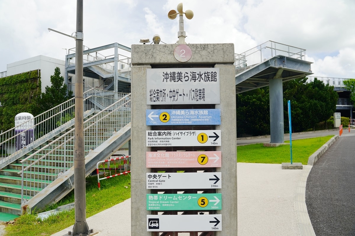 【沖繩免費景點推薦】大型海洋主題公園 免費海豚劇場海豚表演 國營沖繩紀念公園•海洋博公園 - 第9張圖 【沖繩免費景點推薦】大型海洋主題公園 免費海豚劇場海豚表演 國營沖繩紀念公園•海洋博公園