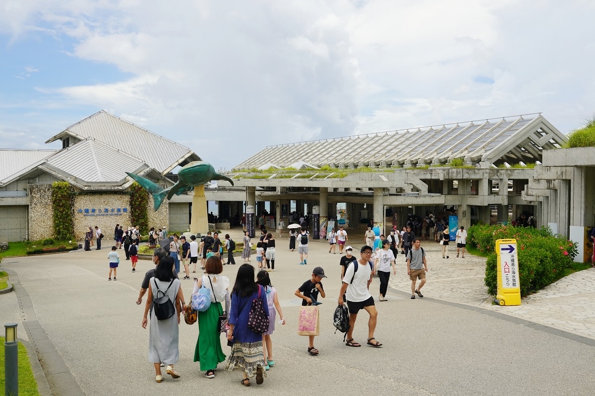 【沖繩免費景點推薦】大型海洋主題公園 免費海豚劇場海豚表演 國營沖繩紀念公園•海洋博公園 - 第11張圖 【沖繩免費景點推薦】大型海洋主題公園 免費海豚劇場海豚表演 國營沖繩紀念公園•海洋博公園