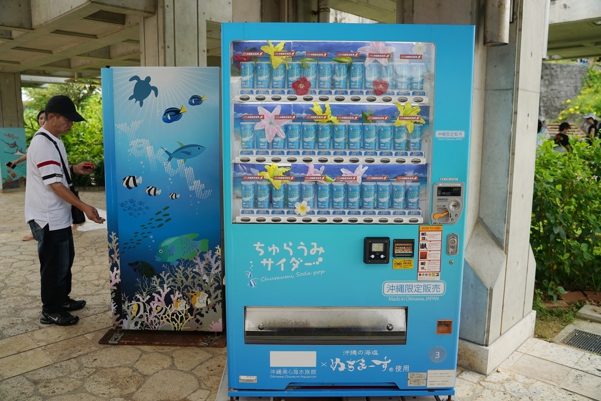 【沖繩免費景點推薦】大型海洋主題公園 免費海豚劇場海豚表演 國營沖繩紀念公園•海洋博公園 - 第12張圖 【沖繩免費景點推薦】大型海洋主題公園 免費海豚劇場海豚表演 國營沖繩紀念公園•海洋博公園