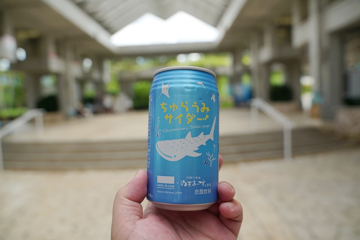 【沖繩免費景點推薦】大型海洋主題公園 免費海豚劇場海豚表演 國營沖繩紀念公園•海洋博公園 - 第13張圖 【沖繩免費景點推薦】大型海洋主題公園 免費海豚劇場海豚表演 國營沖繩紀念公園•海洋博公園