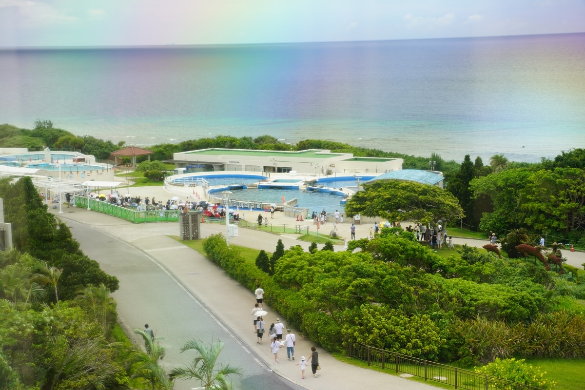 【沖繩免費景點推薦】大型海洋主題公園 免費海豚劇場海豚表演 國營沖繩紀念公園•海洋博公園 - 第16張圖 【沖繩免費景點推薦】大型海洋主題公園 免費海豚劇場海豚表演 國營沖繩紀念公園•海洋博公園