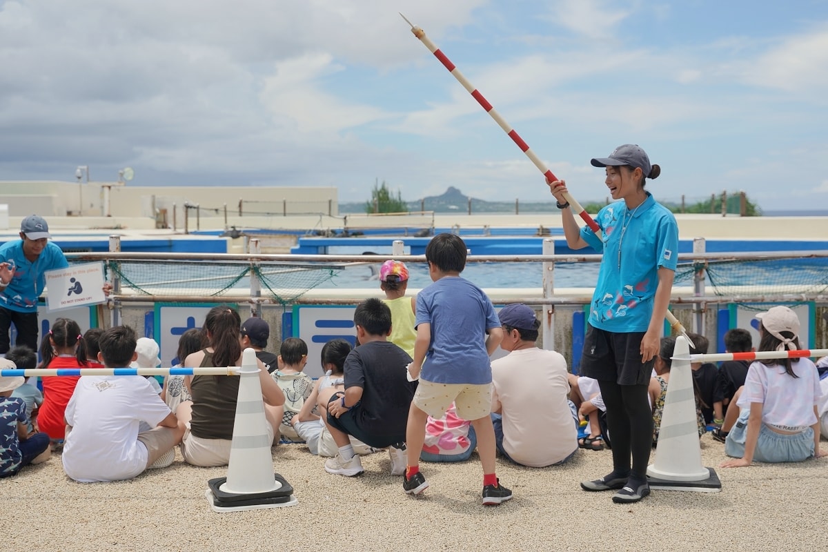 【沖繩免費景點推薦】大型海洋主題公園 免費海豚劇場海豚表演 國營沖繩紀念公園•海洋博公園 - 第18張圖 【沖繩免費景點推薦】大型海洋主題公園 免費海豚劇場海豚表演 國營沖繩紀念公園•海洋博公園