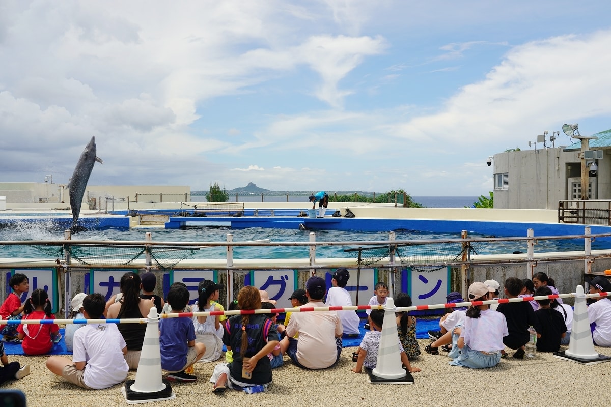 【沖繩免費景點推薦】大型海洋主題公園 免費海豚劇場海豚表演 國營沖繩紀念公園•海洋博公園 - 第19張圖 【沖繩免費景點推薦】大型海洋主題公園 免費海豚劇場海豚表演 國營沖繩紀念公園•海洋博公園