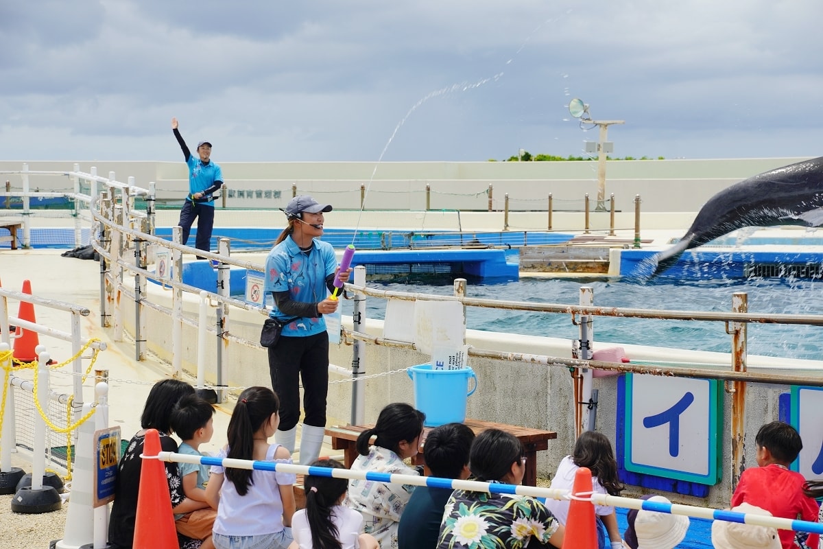 【沖繩免費景點推薦】大型海洋主題公園 免費海豚劇場海豚表演 國營沖繩紀念公園•海洋博公園 - 第20張圖 【沖繩免費景點推薦】大型海洋主題公園 免費海豚劇場海豚表演 國營沖繩紀念公園•海洋博公園