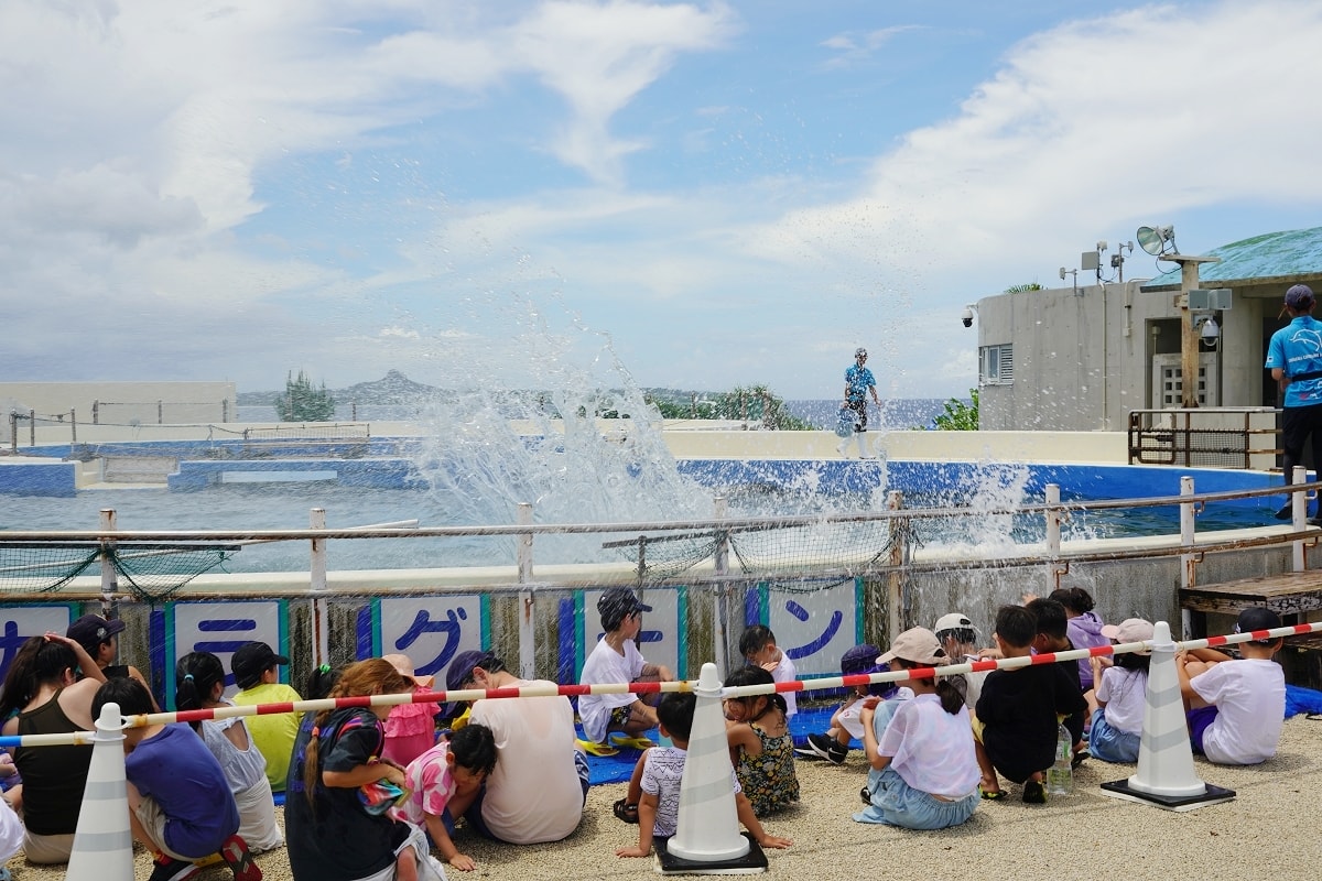 【沖繩免費景點推薦】大型海洋主題公園 免費海豚劇場海豚表演 國營沖繩紀念公園•海洋博公園 - 第21張圖 【沖繩免費景點推薦】大型海洋主題公園 免費海豚劇場海豚表演 國營沖繩紀念公園•海洋博公園
