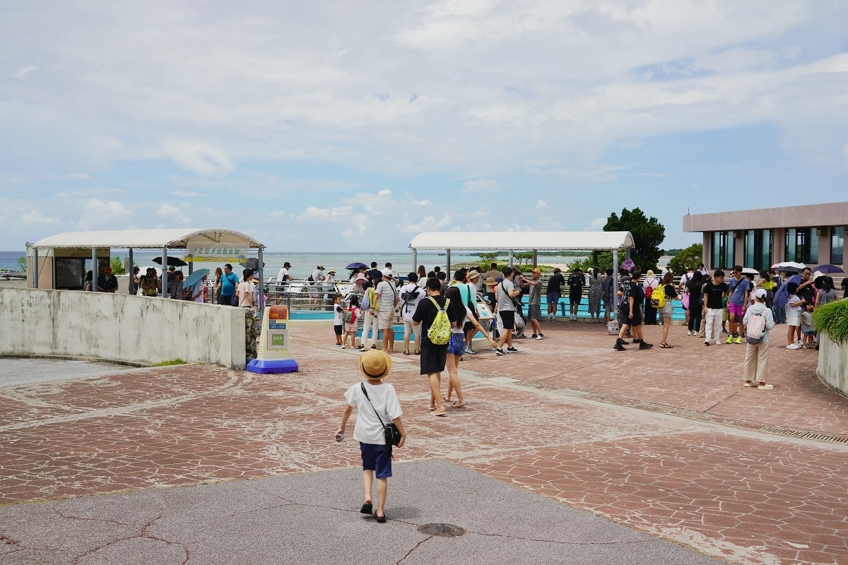 【沖繩免費景點推薦】大型海洋主題公園 免費海豚劇場海豚表演 國營沖繩紀念公園•海洋博公園 - 第23張圖 【沖繩免費景點推薦】大型海洋主題公園 免費海豚劇場海豚表演 國營沖繩紀念公園•海洋博公園