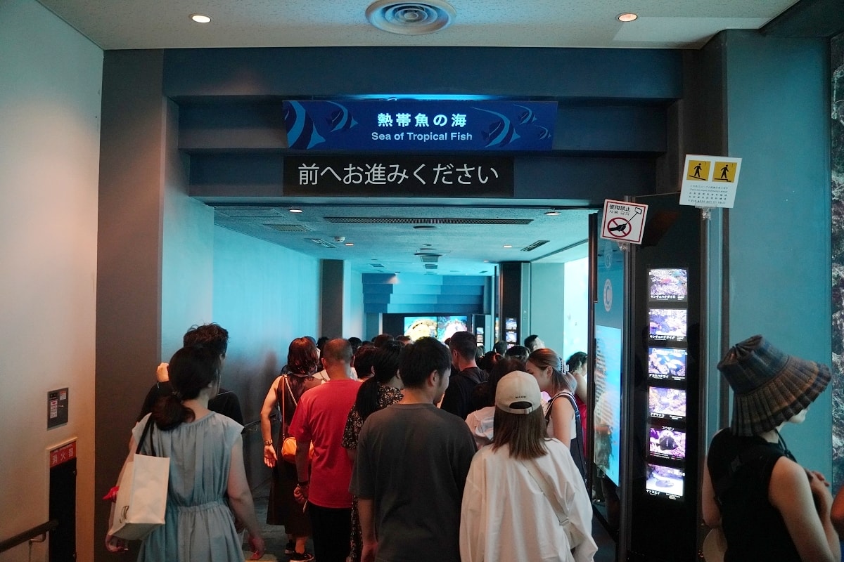 【沖繩必去景點推薦】沖繩室內親子景點好選擇 亞洲最大世界前三大水族館 美麗海水族館(美ら海水族館)