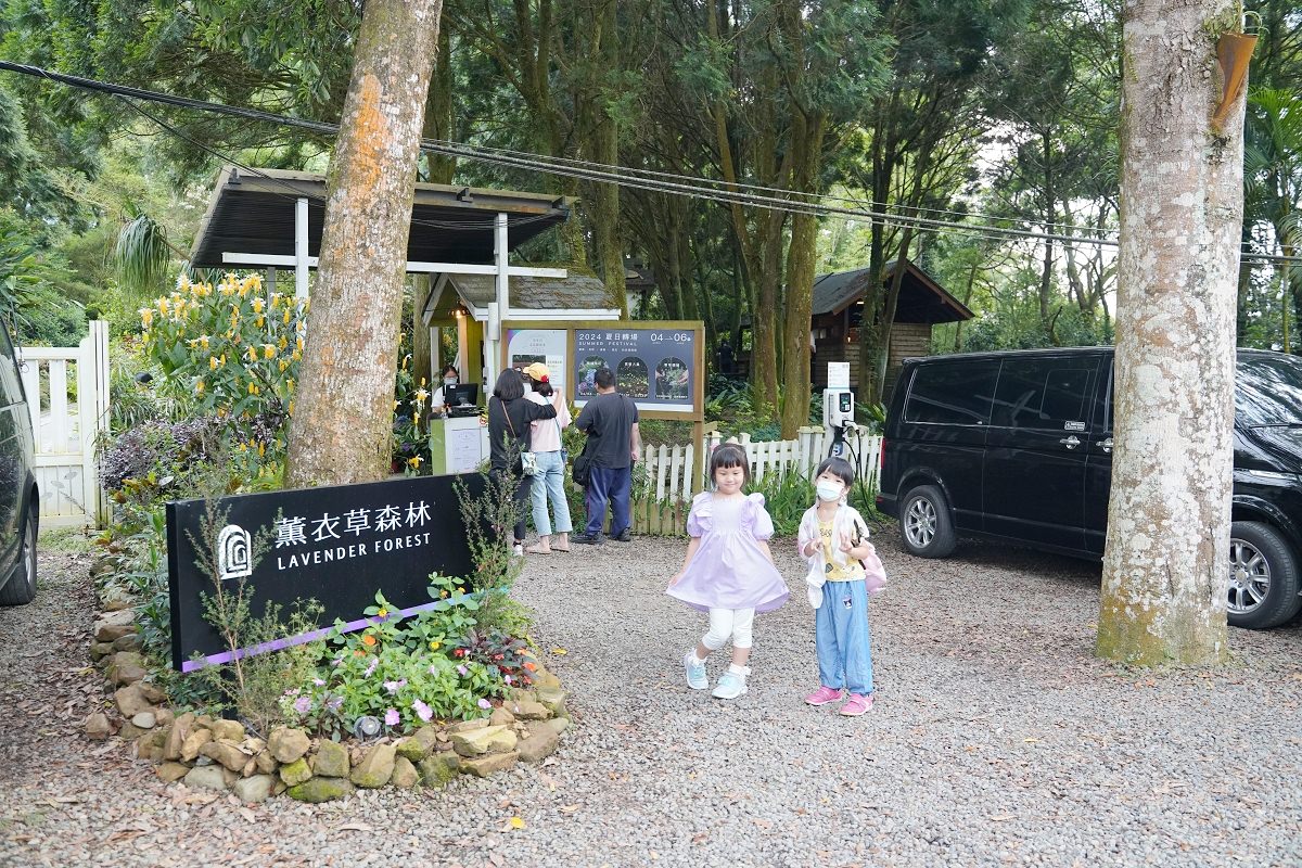 【新竹尖石親子景點推薦】新竹繡球花季賞花景點首選 美味必點繡球花限定餐點 薰衣草森林新竹尖石店