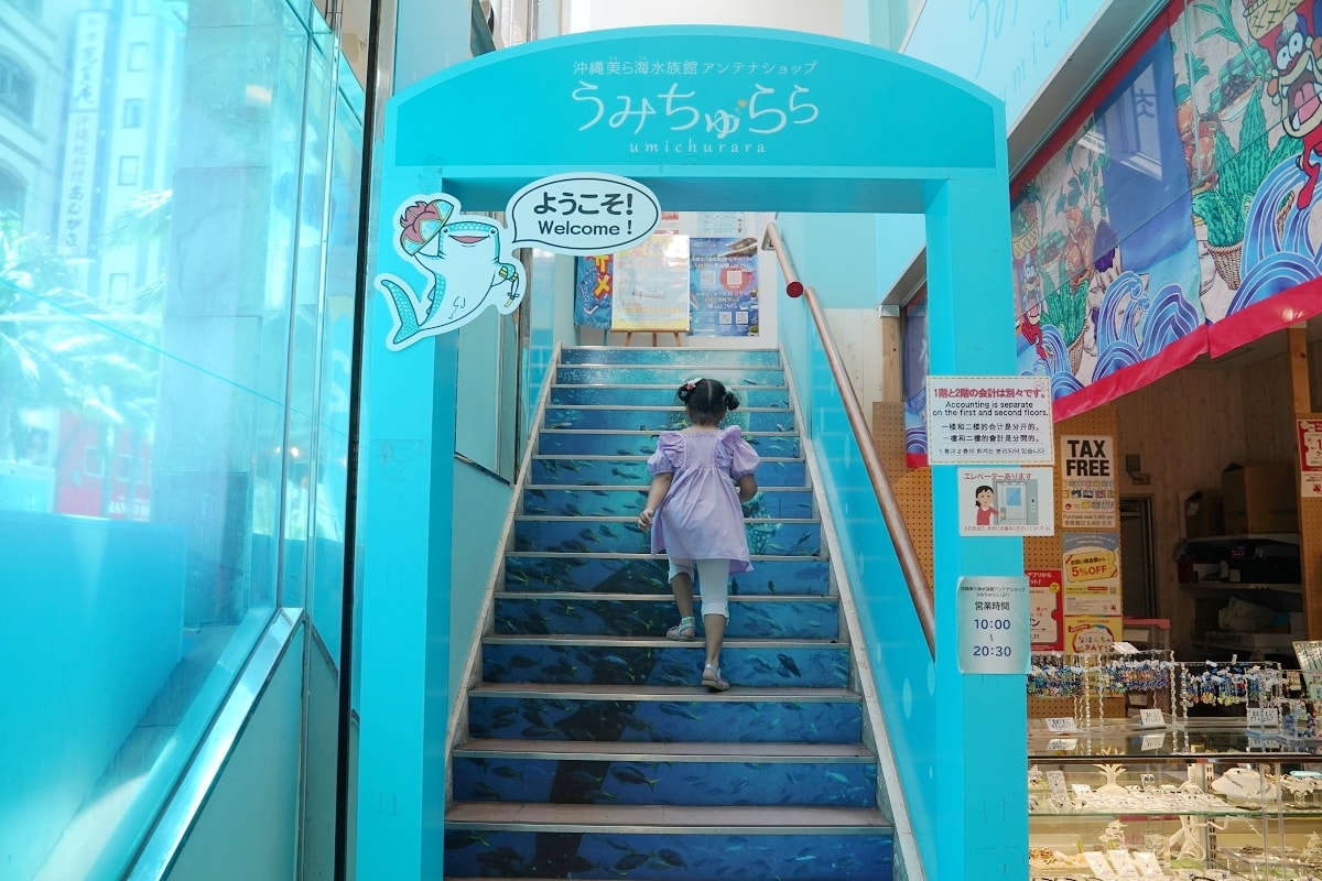 【うみちゅらら】沖繩美麗海水族館直營店 沖縄美ら海水族館特色商品一站式購足 - 第3張圖 【うみちゅらら】沖繩美麗海水族館直營店 沖縄美ら海水族館特色商品一站式購足