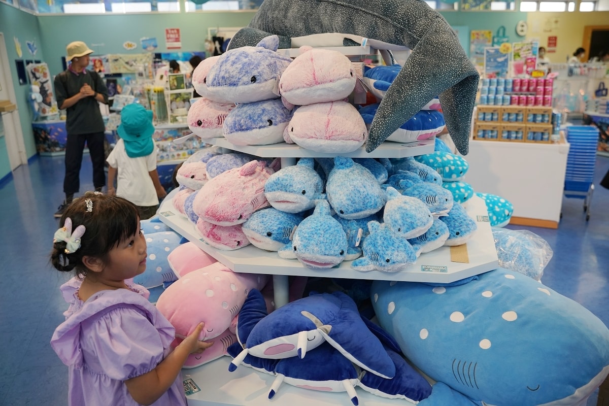 【うみちゅらら】沖繩美麗海水族館直營店 沖縄美ら海水族館特色商品一站式購足 - 第5張圖 【うみちゅらら】沖繩美麗海水族館直營店 沖縄美ら海水族館特色商品一站式購足