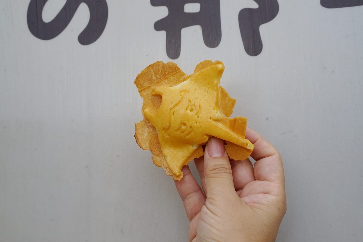 【綠島雞蛋糕推薦】純牛奶不加一滴水 海洋生物造型雞蛋糕 海的那一邊
