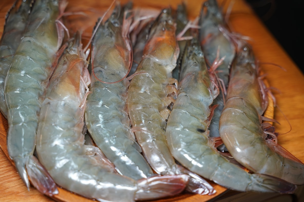 【中秋烤肉宅配推薦】嚴選海內外食材且完整溯源 中秋烤肉重磅炭火組BBQ組 糧品屋