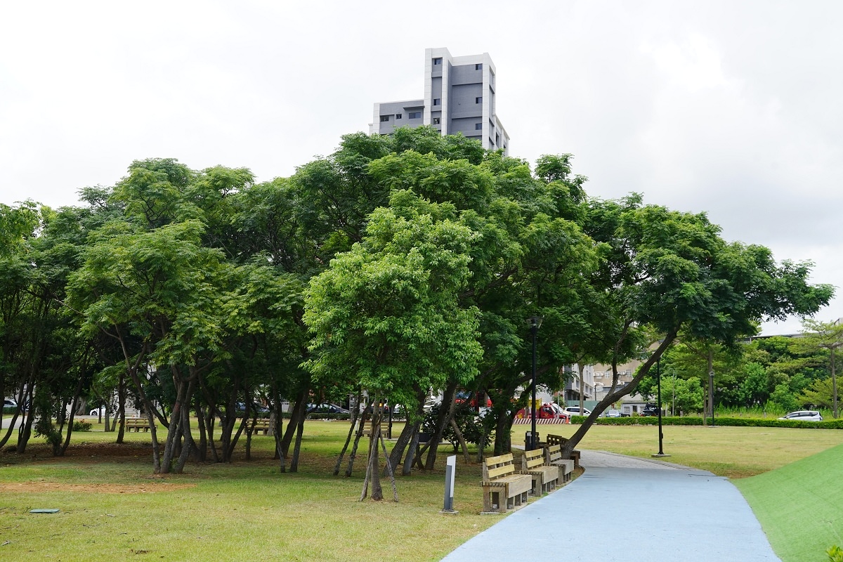 【桃園楊梅兒童公園推薦】楊梅沙坑遊玩好去處 磨石子溜滑梯/兒童攀岩場 富岡運動公園 - 第10張圖 【桃園楊梅兒童公園推薦】楊梅沙坑遊玩好去處 磨石子溜滑梯/兒童攀岩場 富岡運動公園