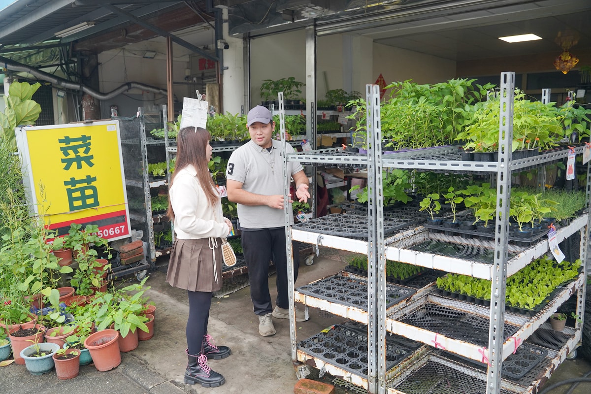 【沃圃種苗】桃園蘆竹南崁種苗店推薦 種菜肥料首選 蔬菜種苗/種子/肥料/園藝相關產品販售 - 第2張圖 【沃圃種苗】桃園蘆竹南崁種苗店推薦 種菜肥料首選 蔬菜種苗/種子/肥料/園藝相關產品販售