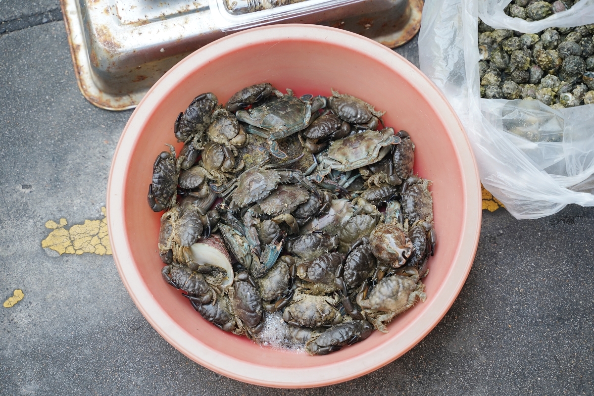 【澎湖傳統市場推薦】體驗澎湖在地生活 想買澎湖海鮮就來這 澎湖縣馬公市北辰公有市場
