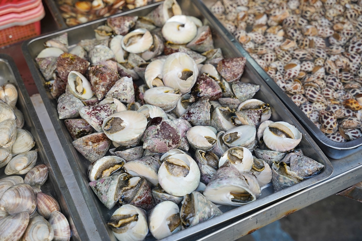 【澎湖傳統市場推薦】體驗澎湖在地生活 想買澎湖海鮮就來這 澎湖縣馬公市北辰公有市場