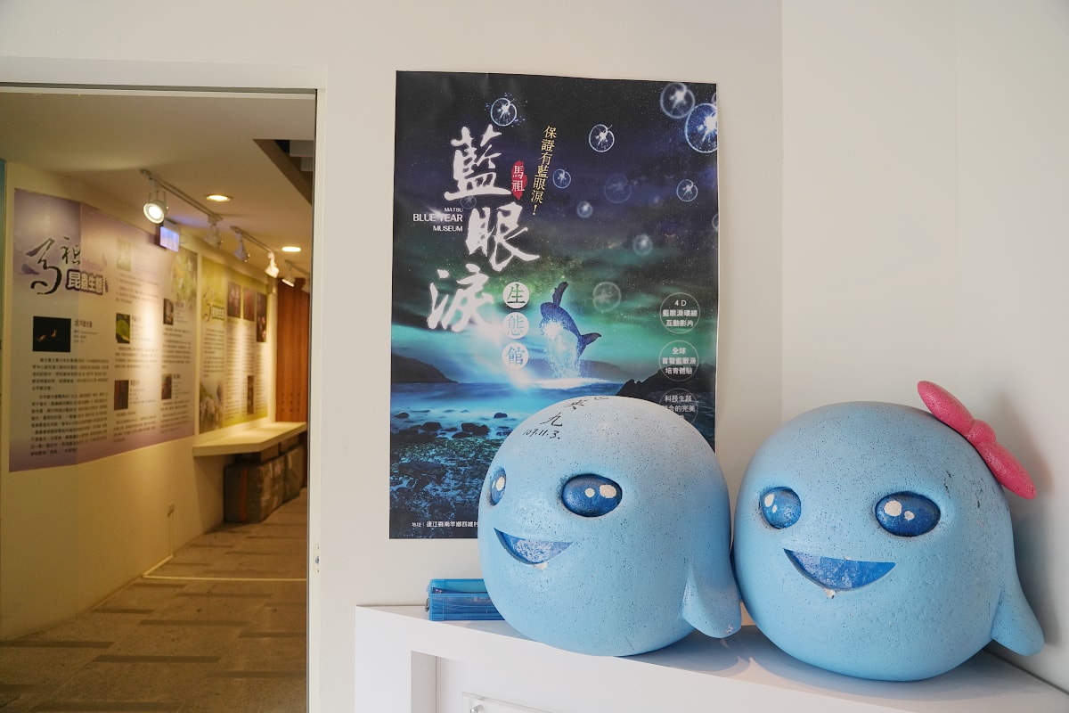 【藍眼淚生態館】馬祖南竿室內景點推薦 美國CNN列為世界15大奇景 馬祖藍眼淚保證看得到 - 第6張圖 【藍眼淚生態館】馬祖南竿室內景點推薦 美國CNN列為世界15大奇景 馬祖藍眼淚保證看得到