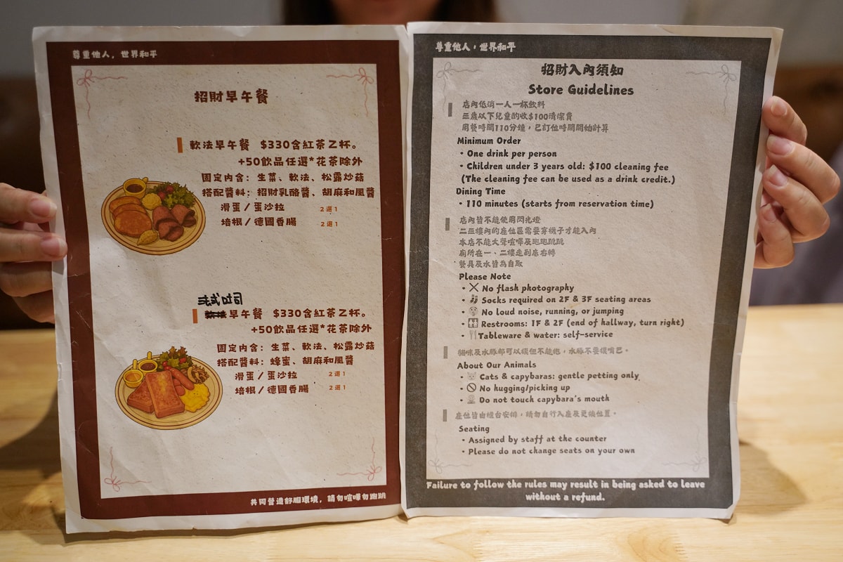 【招財咖啡】新竹巷弄美食推薦 美味必點早午餐/咖哩飯/下午茶 超可愛貓咪與水豚君作陪