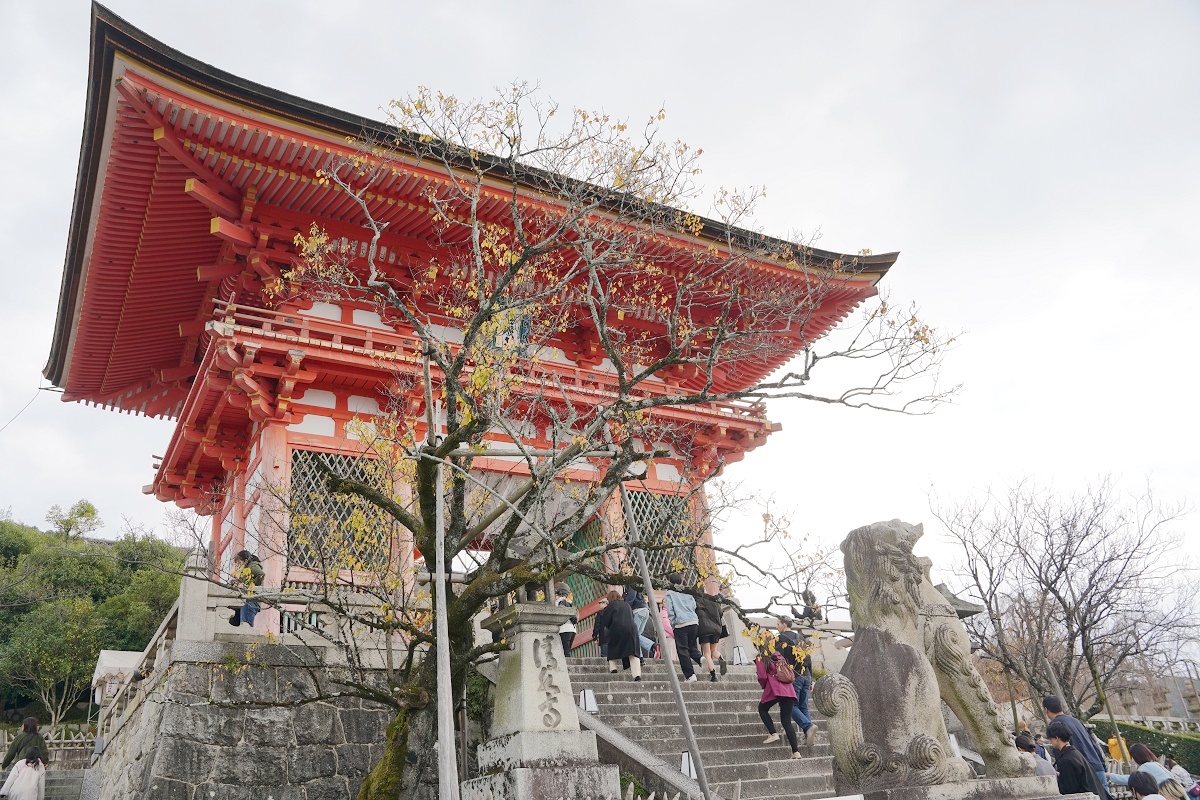 【京都賞楓景點推薦】世界文化遺產清水舞台 絕美秋色楓紅此生必訪 京都音羽山清水寺