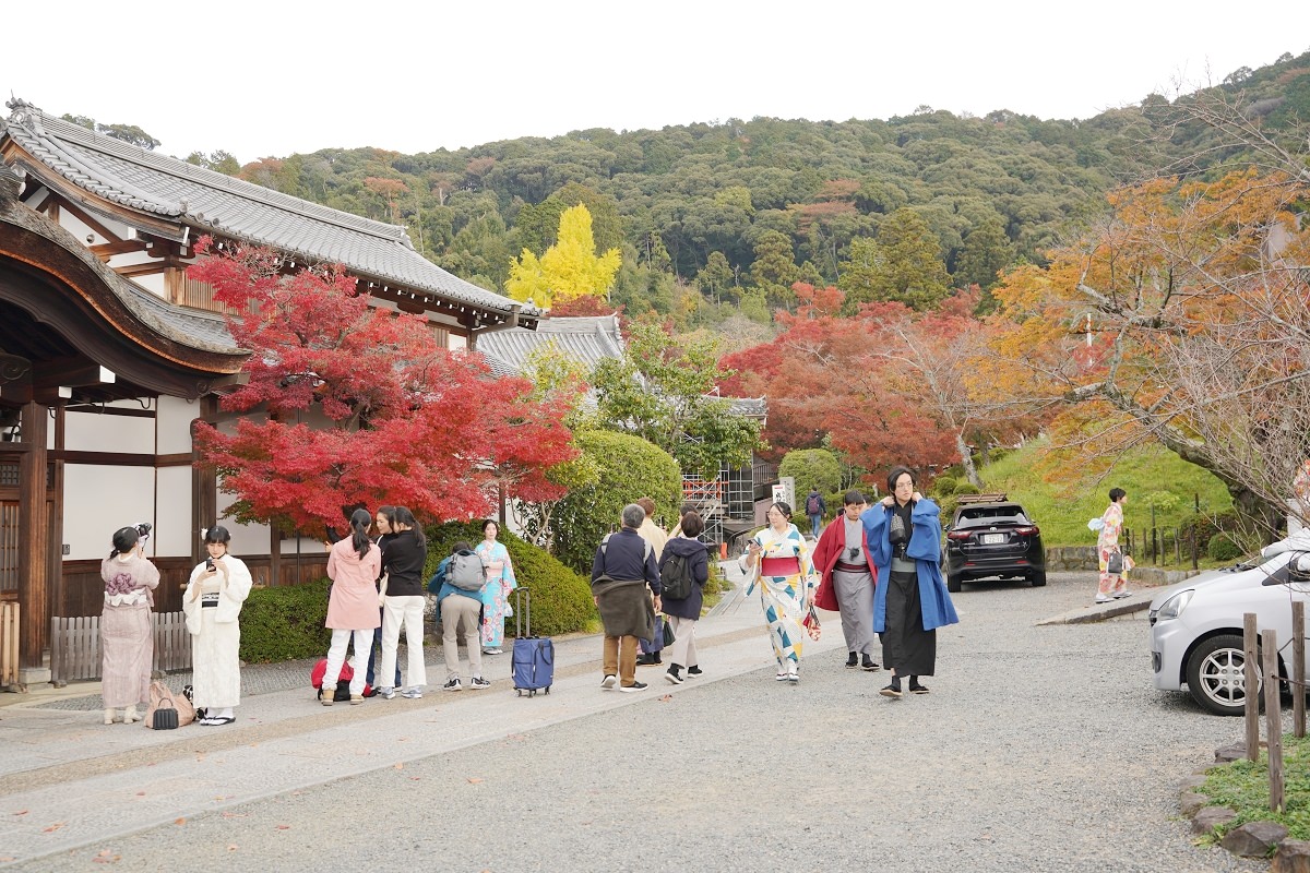 【京都賞楓景點推薦】世界文化遺產清水舞台 絕美秋色楓紅此生必訪 京都音羽山清水寺