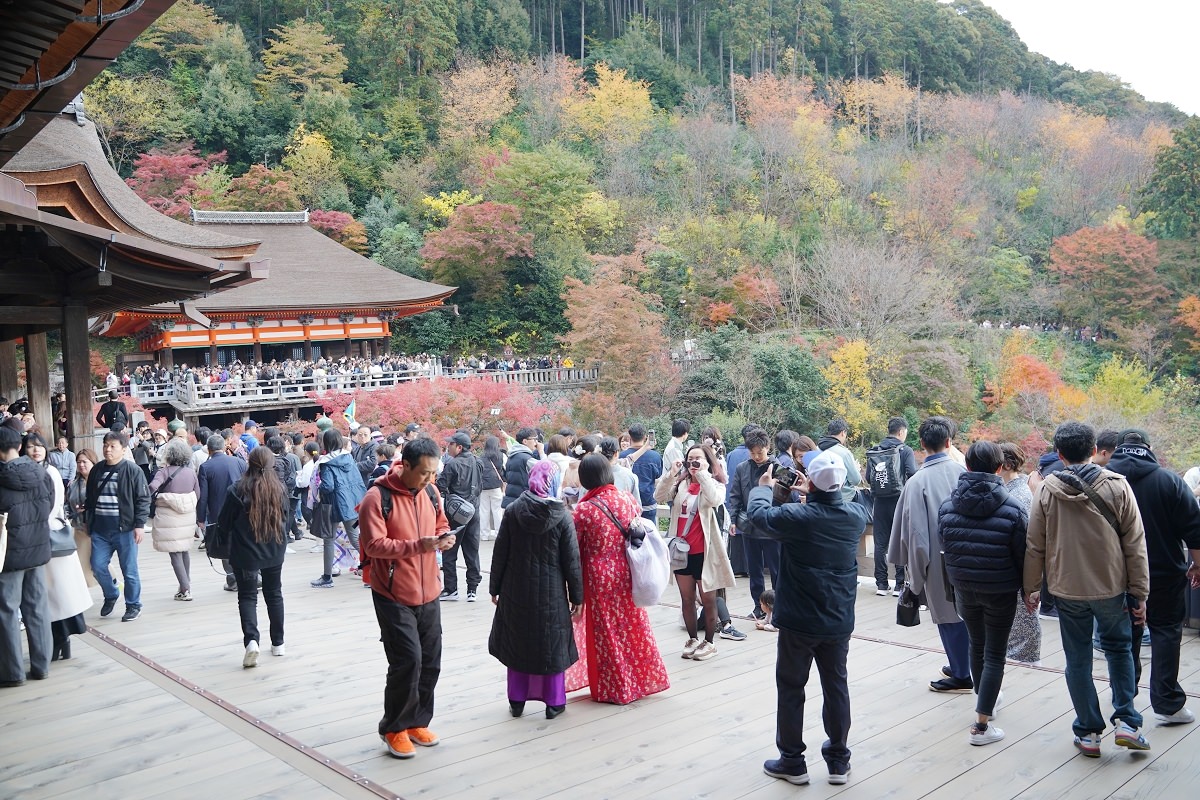 【京都賞楓景點推薦】世界文化遺產清水舞台 絕美秋色楓紅此生必訪 京都音羽山清水寺